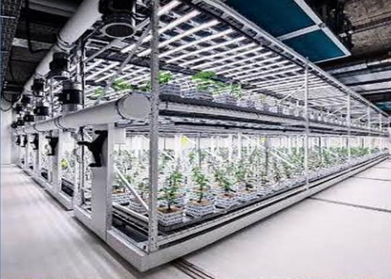 System hydroponiczny do sadzenia